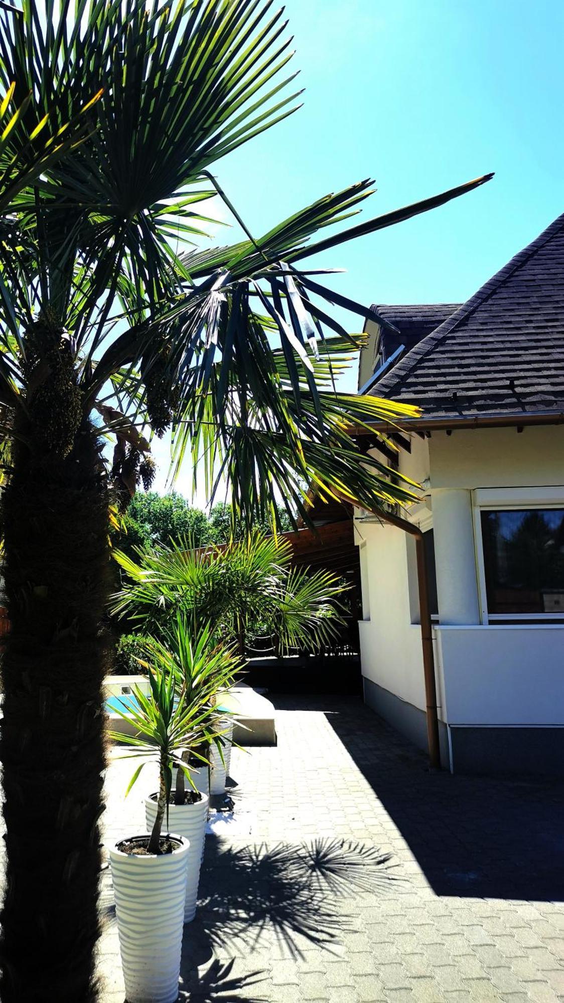 House4U Villa Balatonszárszó Eksteriør billede